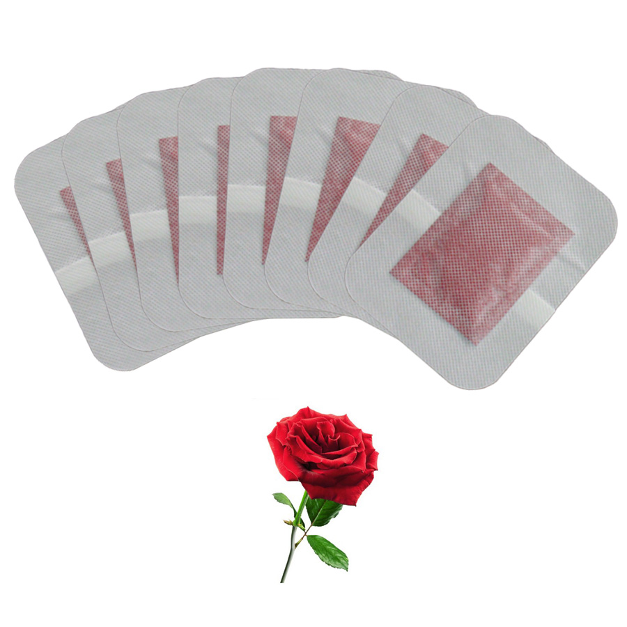 10 pçs erval rosa pé gesso det - Detox Foot Patch avaliação e preço